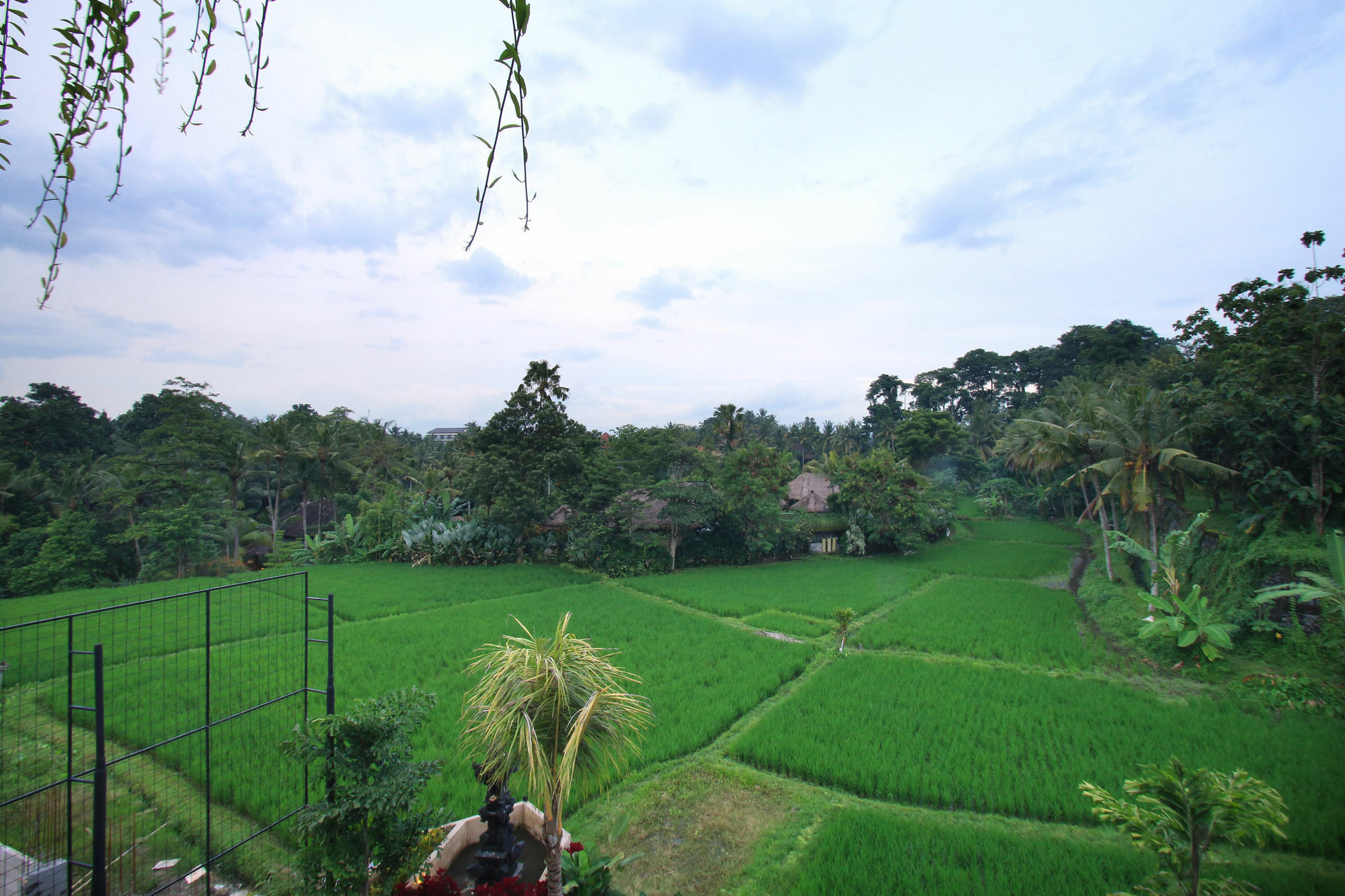 Byasa Ubud Exterior photo